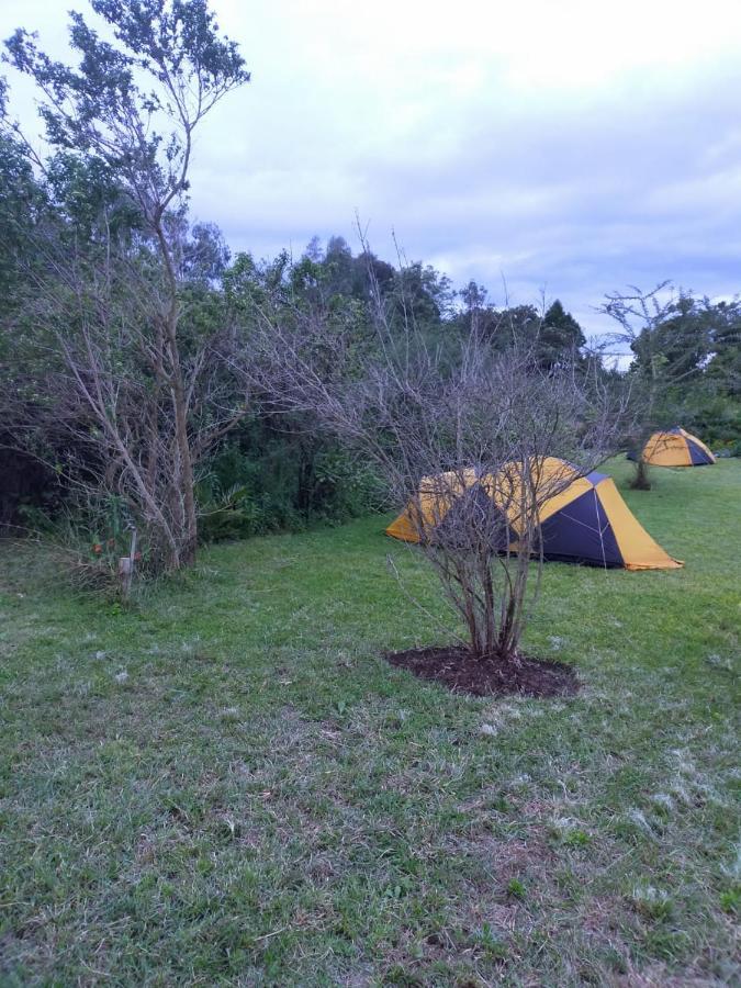 Hotel Camp Mahon Gardens Nanyuki Zewnętrze zdjęcie
